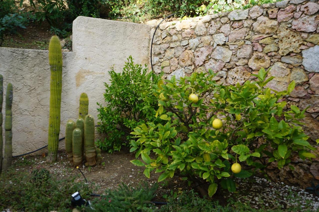 Villa Les Cades Sainte-Maxime Zewnętrze zdjęcie